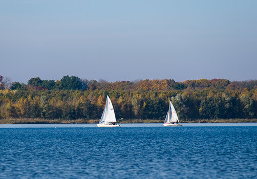 750_3558.JPG