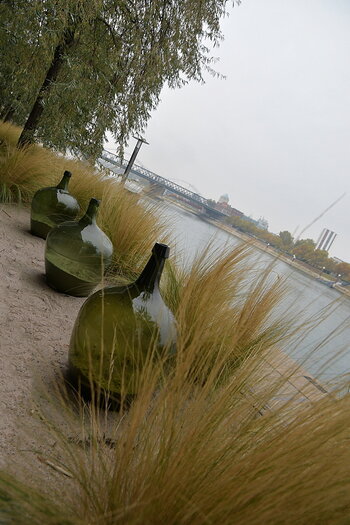 WRU_0977.JPG
