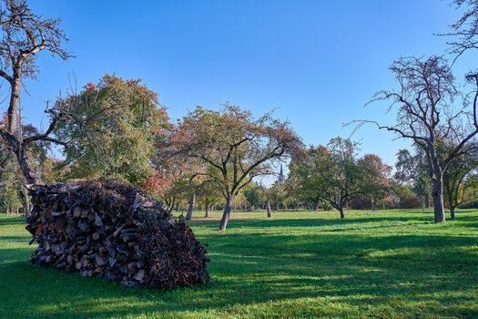 NF-Galerie_11a_LotharP_GoldenerHerbst_2018_05_025.jpg