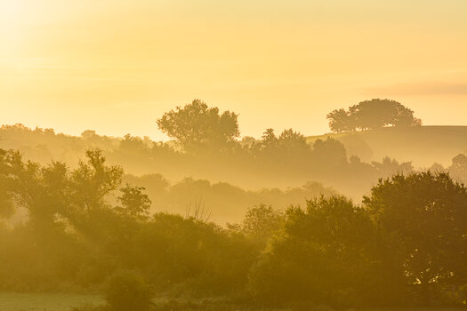 frühmorgens-1473.jpg