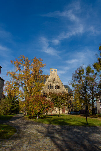 750_3583.JPG
