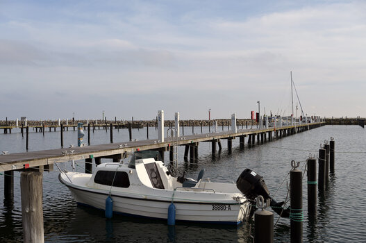WEBMZ6_0463.jpg