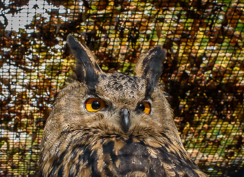 750_3763.JPG