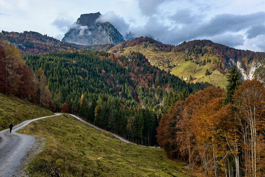 wilder Kaiser.jpg