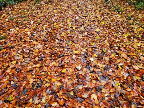 20211102_160839.jpg