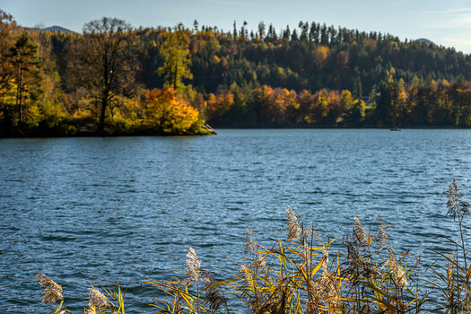 20211031_NZ7_2561NF.jpg