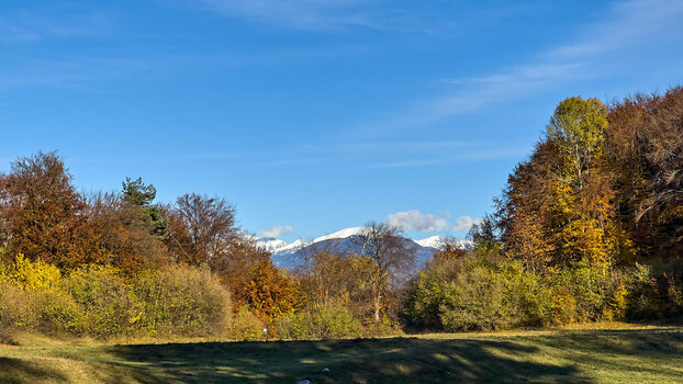 am Monte Bondone.jpg
