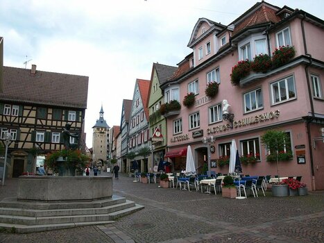 2021-11-09_09-37-41.jpg