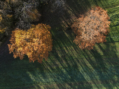 DJI_0041.jpg