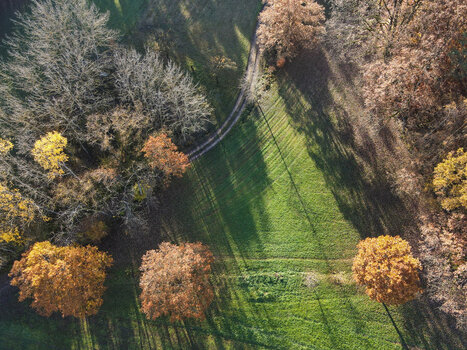 DJI_0011.jpg
