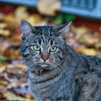 DSC_2009 (2)_red.jpg