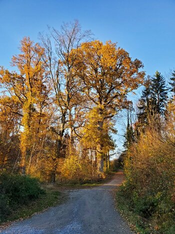 20211109_160114.jpg