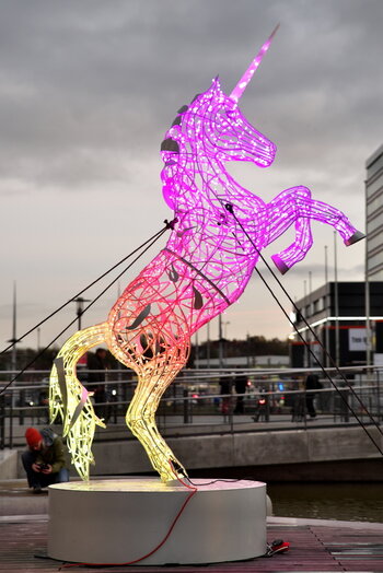 DFX_1108.jpg