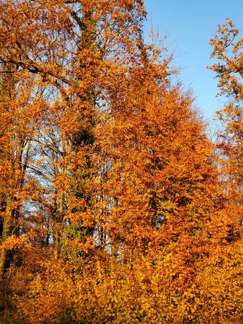 20211109_162842.jpg
