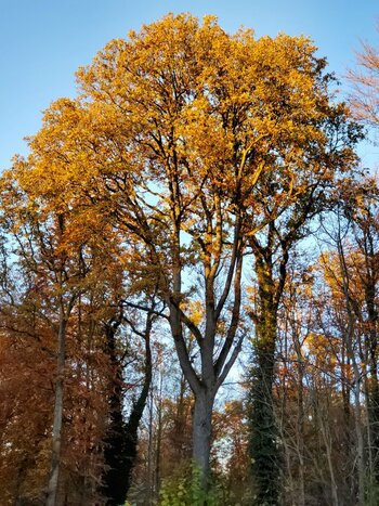 20211109_161715.jpg