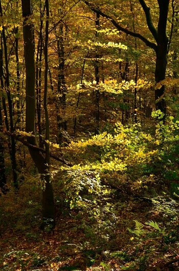 DSC_7463_00001n.jpg