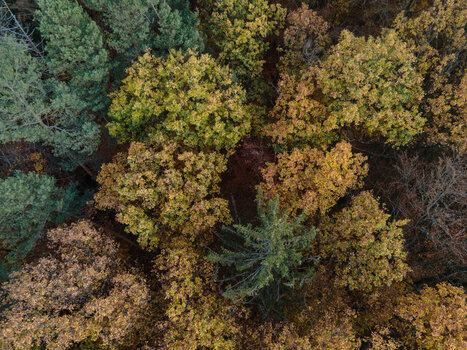 DJI_0079.jpg