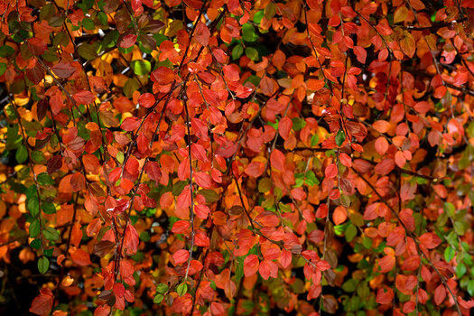 20211112_NZ7_0792NF.jpg