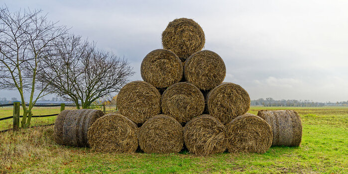 Spaziergang_20211113_113018_DSC_0314_DxO_small.jpg