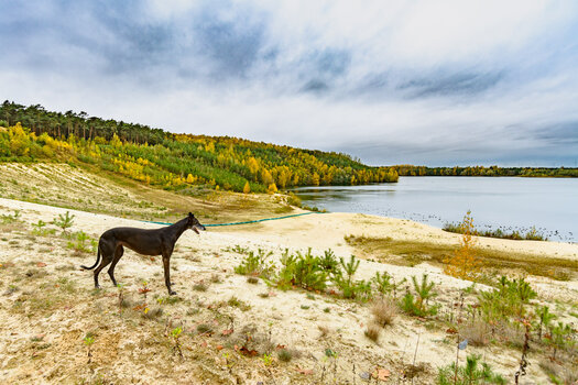aruna baggersee-8154.jpg