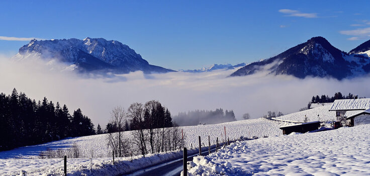 winterwelt_.jpg