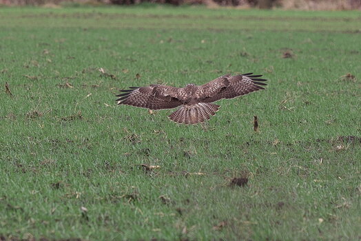 TSF 2021 -269.jpg