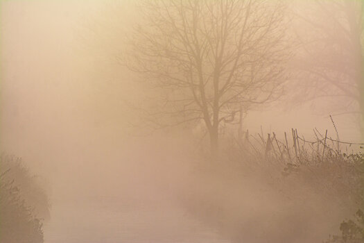 nebel-3374.jpg
