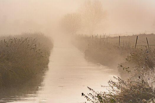 nebel-3371.jpg
