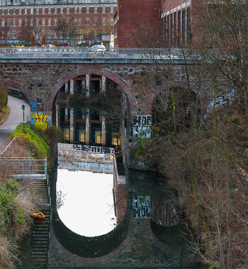 750_4043.JPG