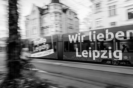 750_4086-Bearbeitet.JPG