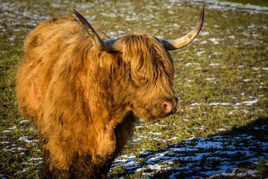 20211207_NZ7_0377NF.jpg