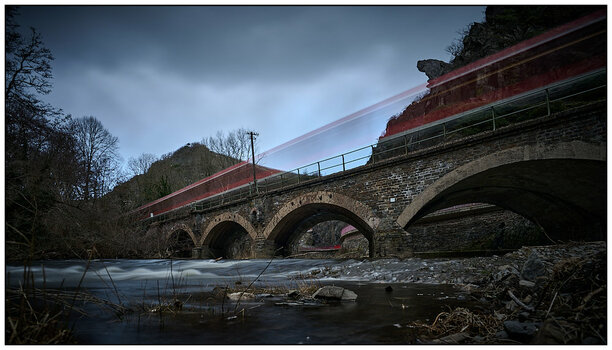 21-03-13_NIKON Z 7__NZ74045.jpg
