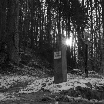 P1040788n1.JPG