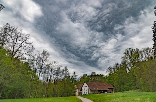 _7800379-HDR.jpg