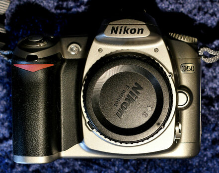 D50_431.JPG