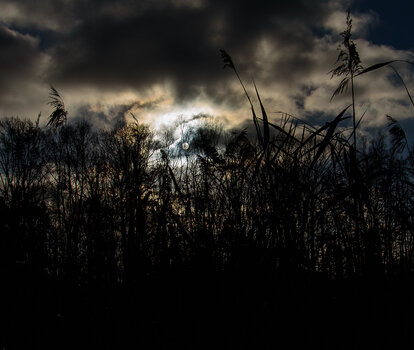 750_4228.JPG