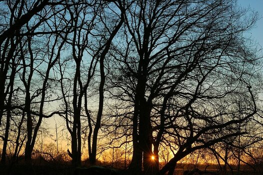 comp_D50 Sonnenuntergang_432.jpg