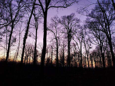 20211220_164955.jpg