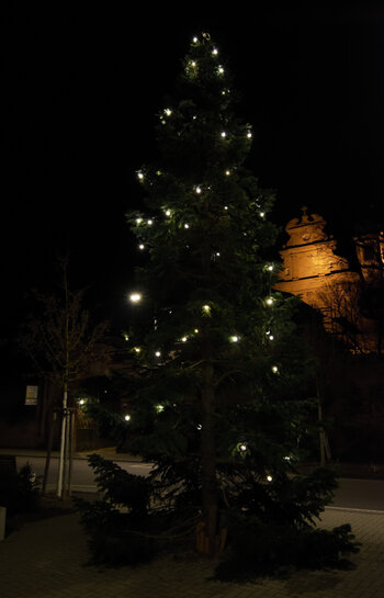 tan3_00001DSC_1387.jpg