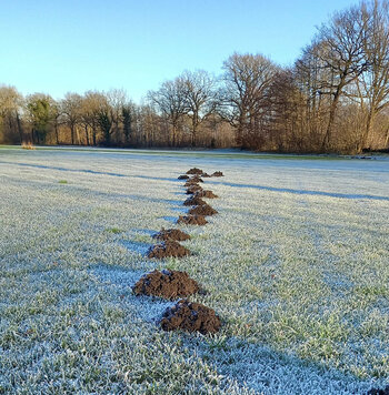 20211221_1438332Kopie.jpg