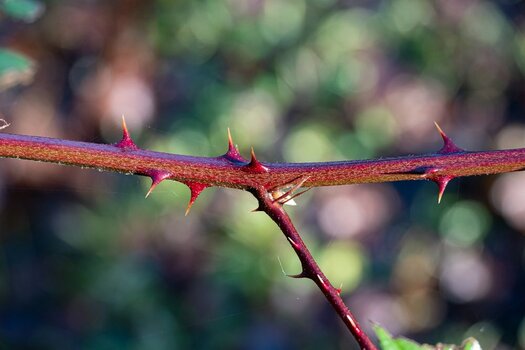 comp_DSC_0835.jpg