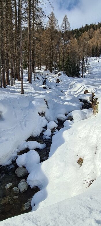 20211226_135530.jpg