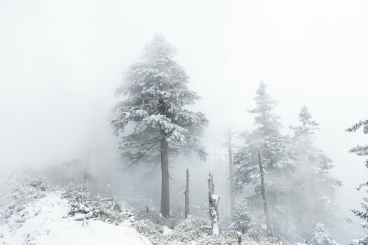 Harz Feb 2020-44.jpg