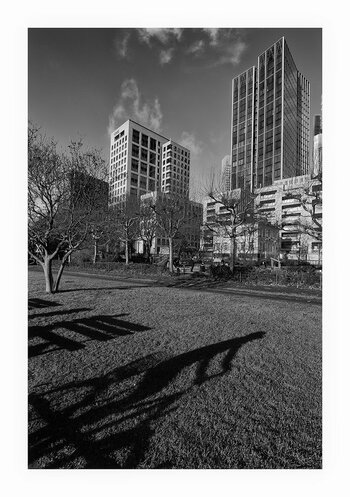 _DSC9041sw.jpg