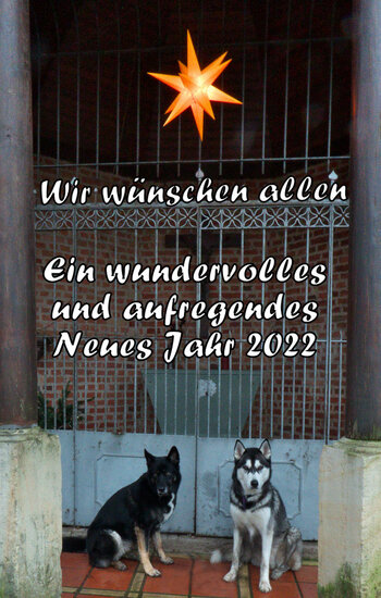 OLD 2021-340.jpg