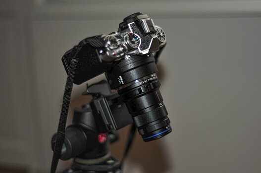 comp_DSC_0197.jpg