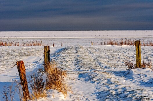 Deich und Schnee 1.jpg