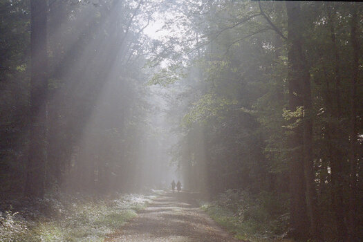 image128.jpg