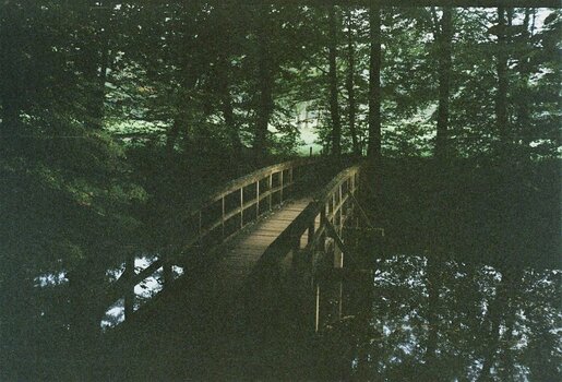 comp_image131.jpg