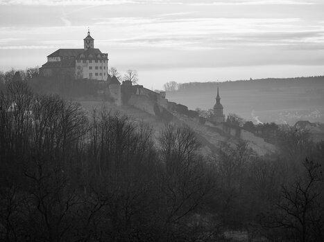 P1020008.jpg